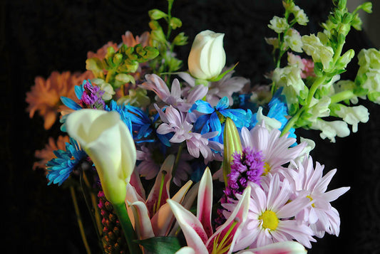 Flowers 292 Digital Image Download