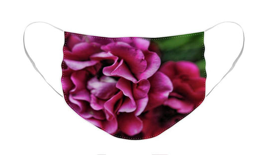 Fuchsia Flowers - Face Mask