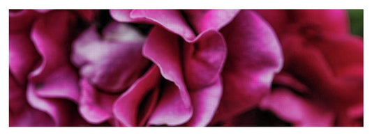 Fuchsia Flowers - Yoga Mat