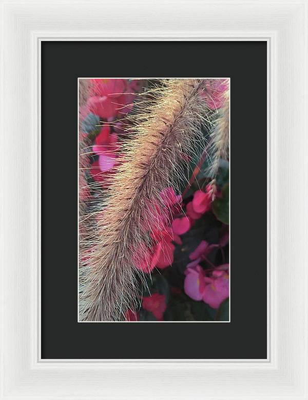 Grass and Geraniums - Framed Print