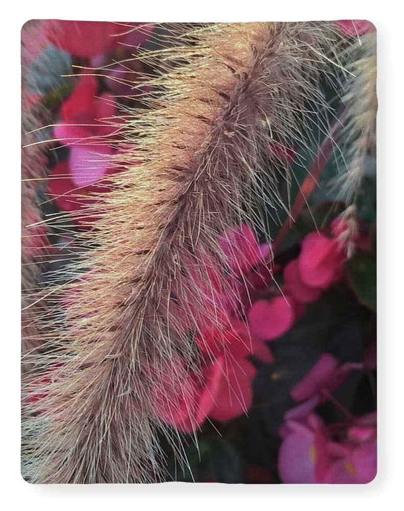 Grass and Geraniums - Blanket