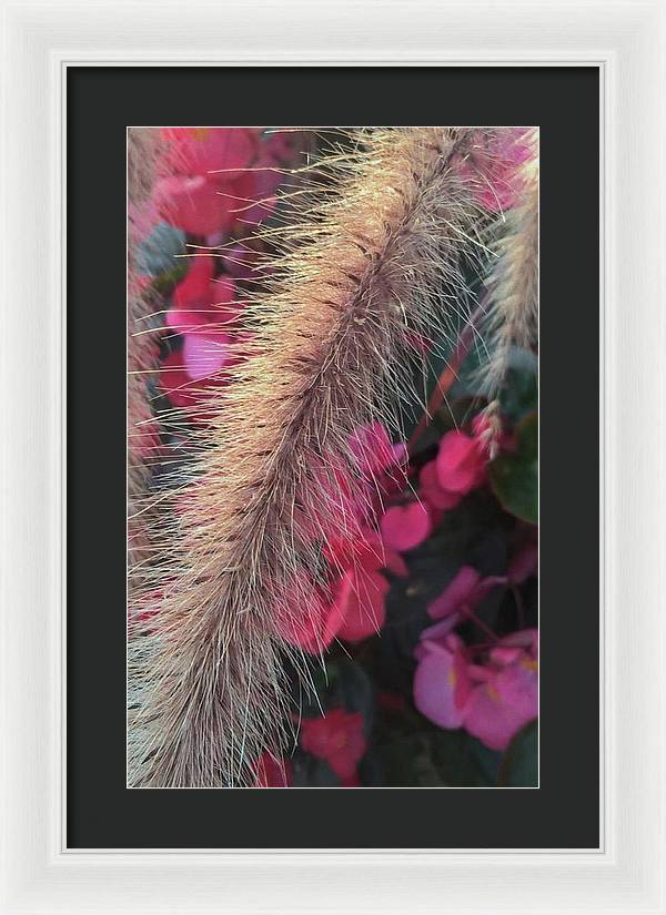 Grass and Geraniums - Framed Print