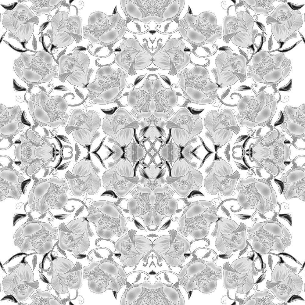 Gray Roses on White Digital Image Download