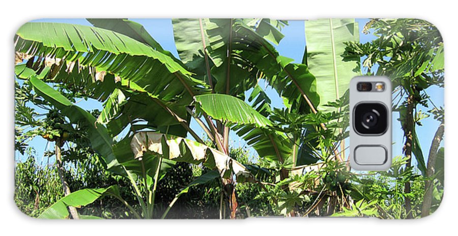 Hawaii 2 - Phone Case