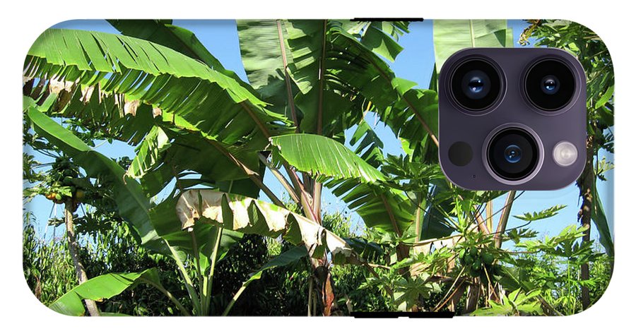 Hawaii 2 - Phone Case