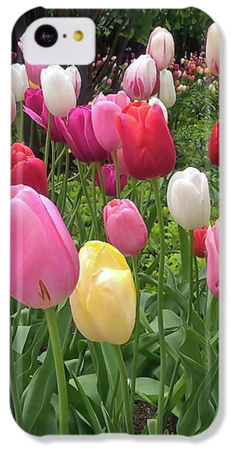 Home Chicago Tulips - Phone Case
