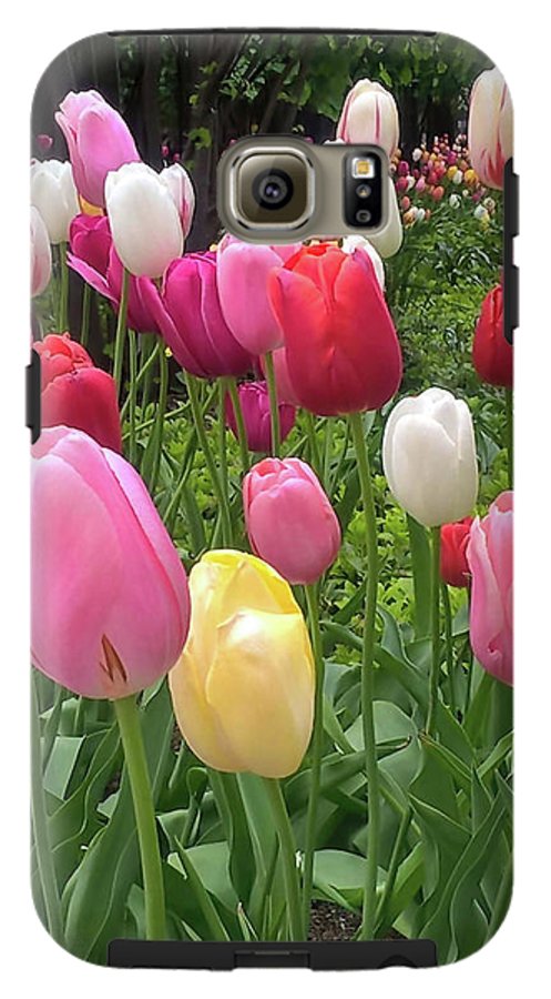 Home Chicago Tulips - Phone Case
