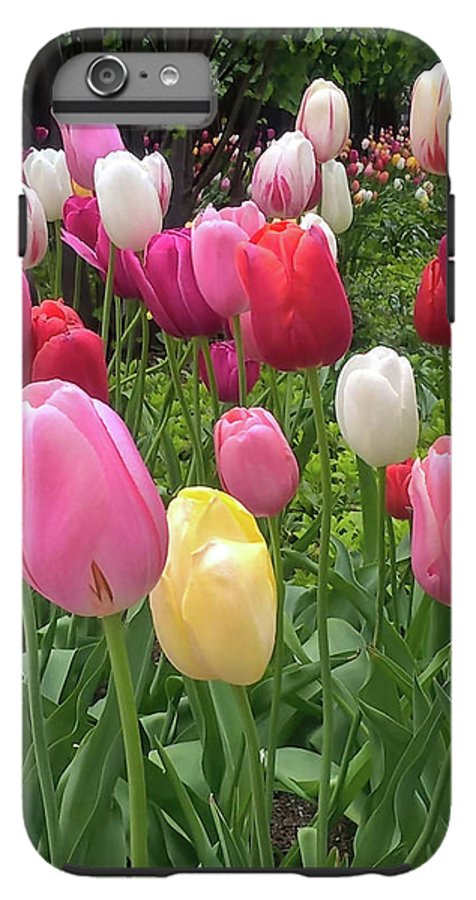 Home Chicago Tulips - Phone Case