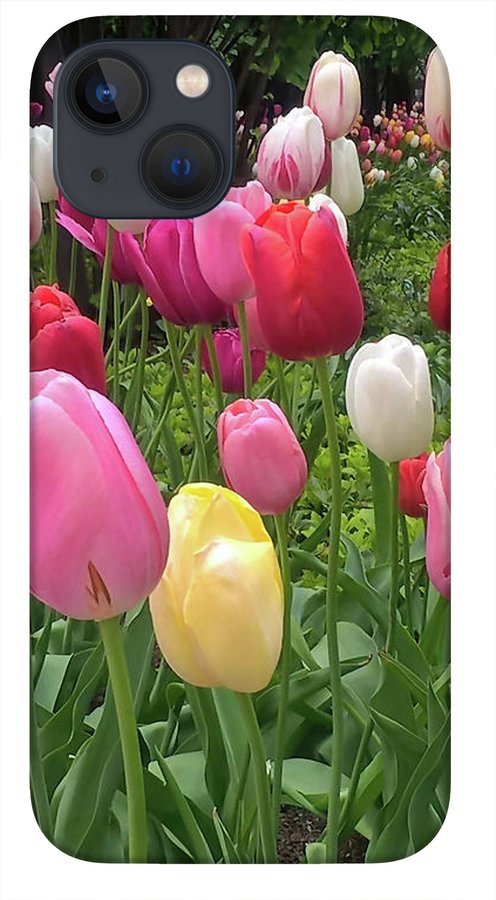 Home Chicago Tulips - Phone Case