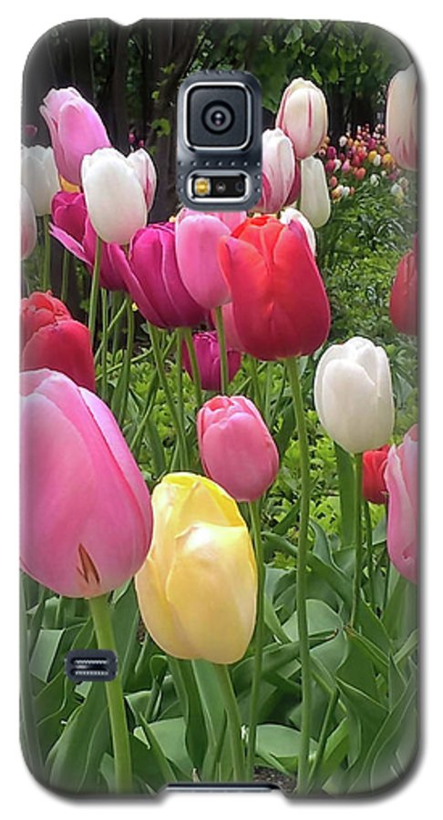 Home Chicago Tulips - Phone Case