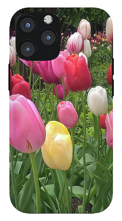 Home Chicago Tulips - Phone Case