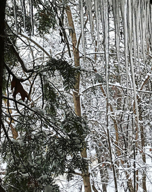 Icicle Snow Scene Digital Image Download