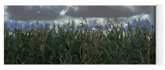 Illinois Corn - Yoga Mat