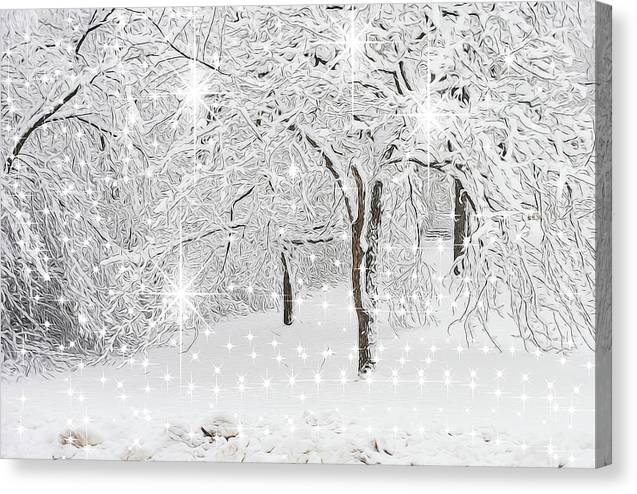 Incandescent and Florescent Winter - Canvas Print