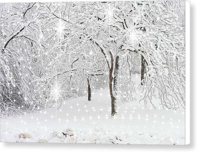 Incandescent and Florescent Winter - Canvas Print