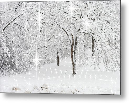 Incandescent and Florescent Winter - Metal Print