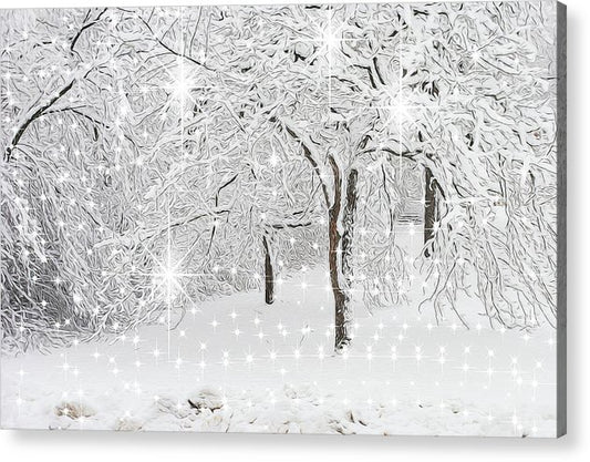 Incandescent and Florescent Winter - Acrylic Print