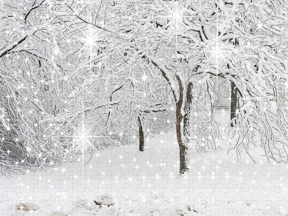 Incandescent and Florescent Winter - Puzzle