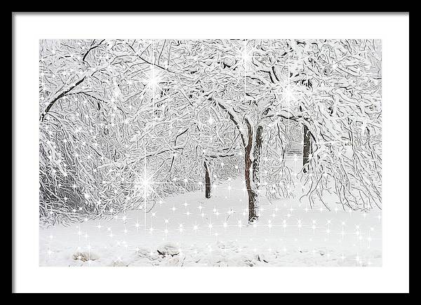 Incandescent and Florescent Winter - Framed Print