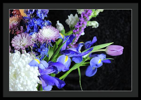 Iris Bouquet - Framed Print