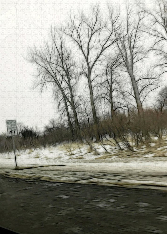 January Roadside  - Puzzle
