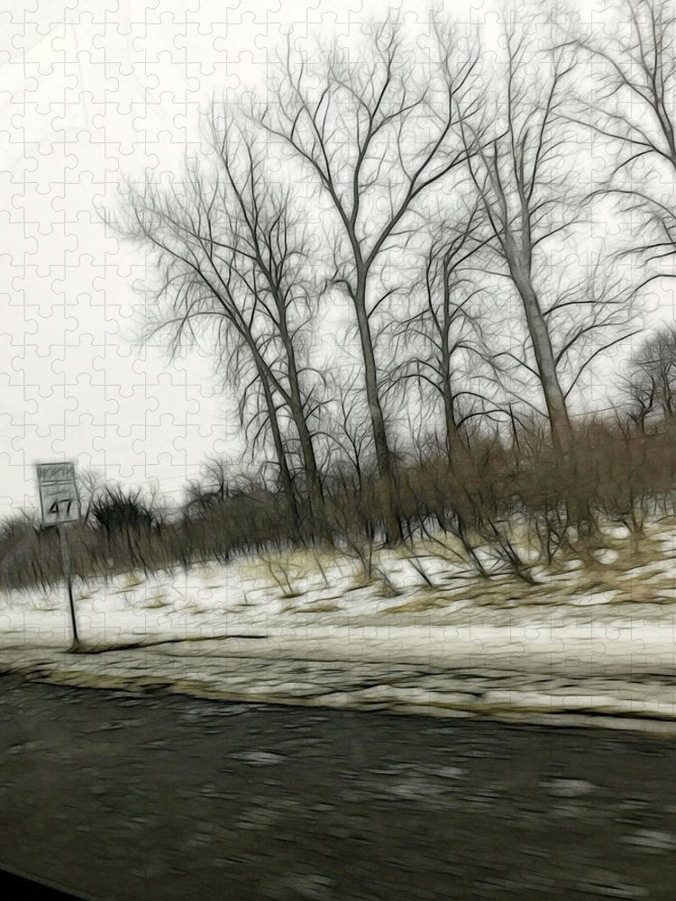 January Roadside  - Puzzle