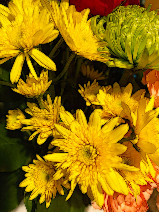 June Flowers 5 Digital Image Download