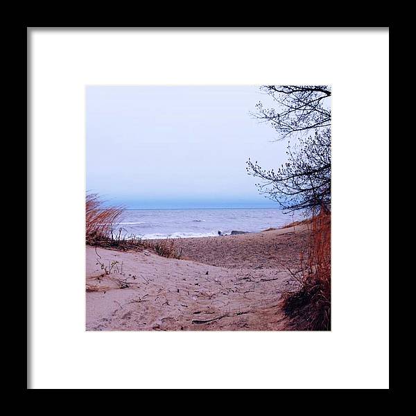 Lake Michigan Beach Dunes - Framed Print