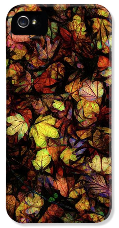 Late October Leaves - Phone Case