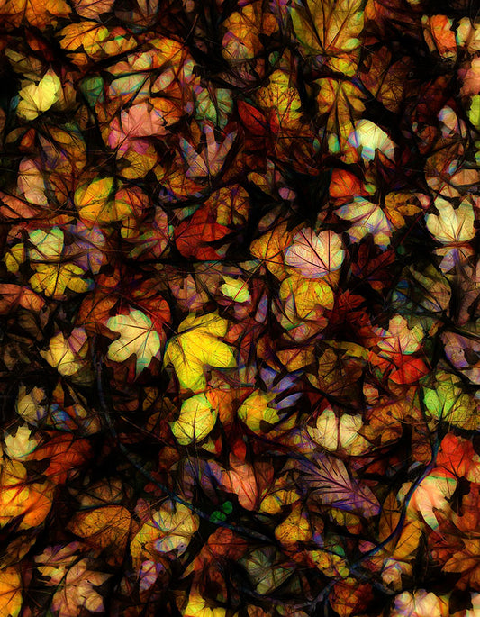 Late October Leaves Digital Image Download