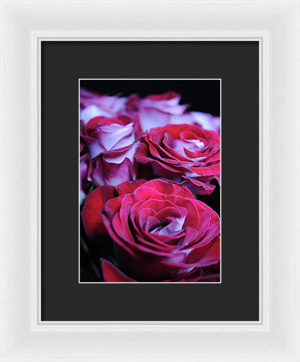 Latin Dancer Rose Group - Framed Print