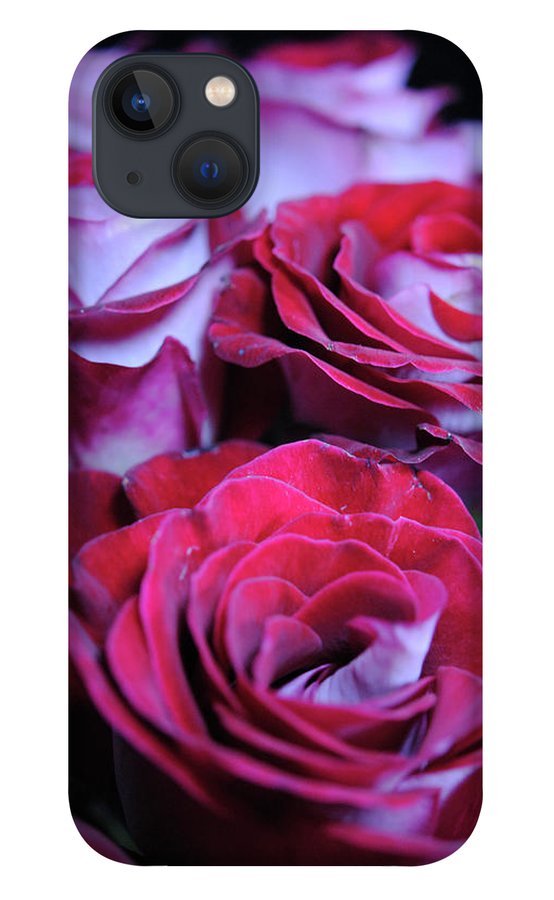 Latin Dancer Rose Group - Phone Case