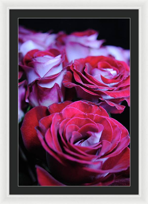 Latin Dancer Rose Group - Framed Print