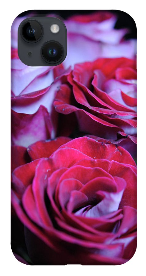 Latin Dancer Rose Group - Phone Case
