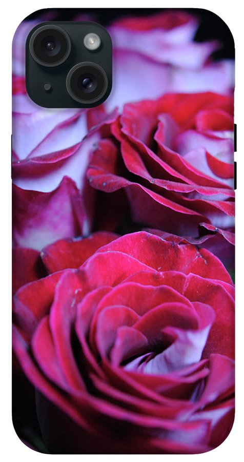 Latin Dancer Rose Group - Phone Case