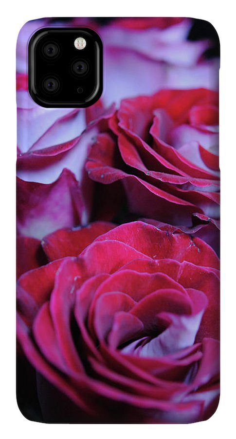 Latin Dancer Rose Group - Phone Case