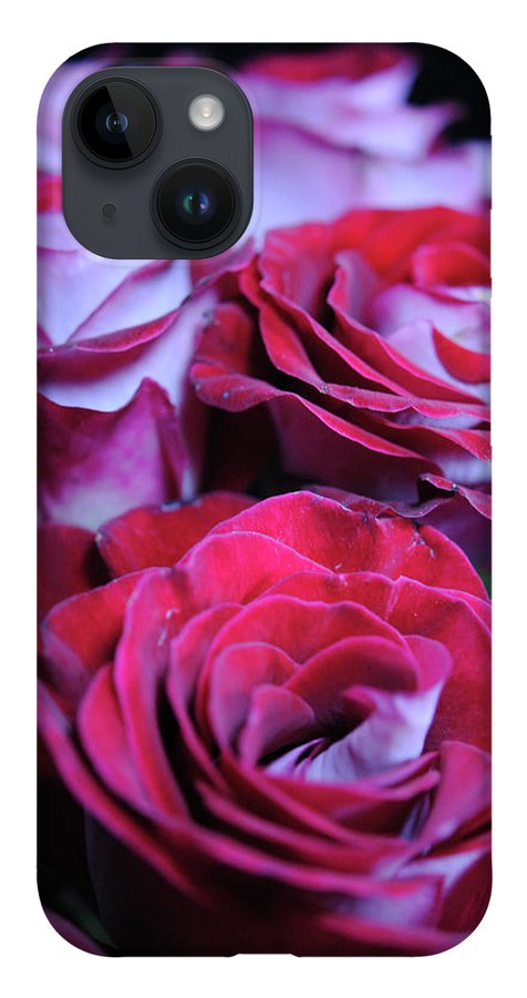 Latin Dancer Rose Group - Phone Case