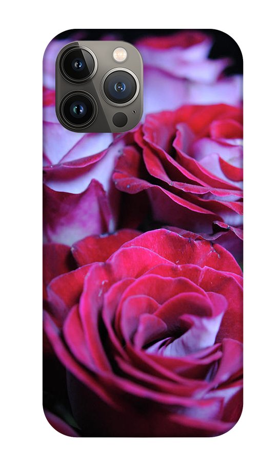 Latin Dancer Rose Group - Phone Case