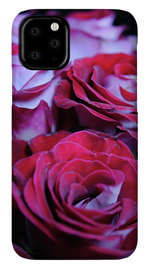 Latin Dancer Rose Group - Phone Case