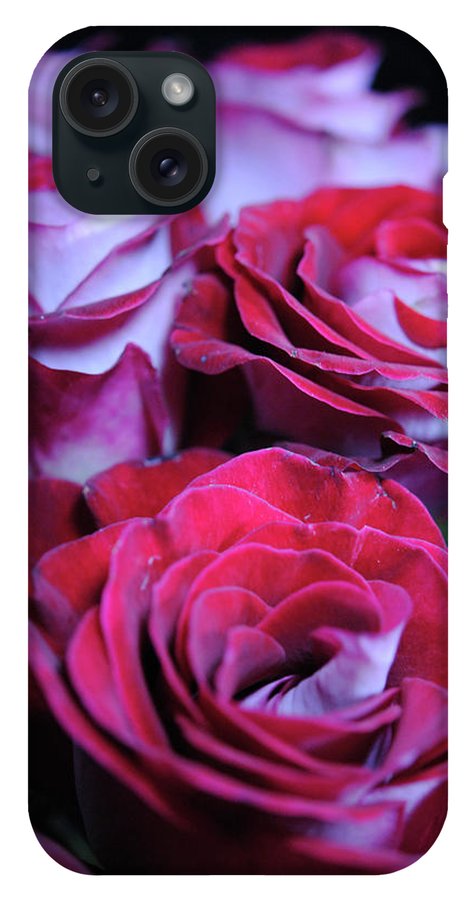 Latin Dancer Rose Group - Phone Case