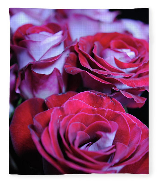 Latin Dancer Rose Group - Blanket