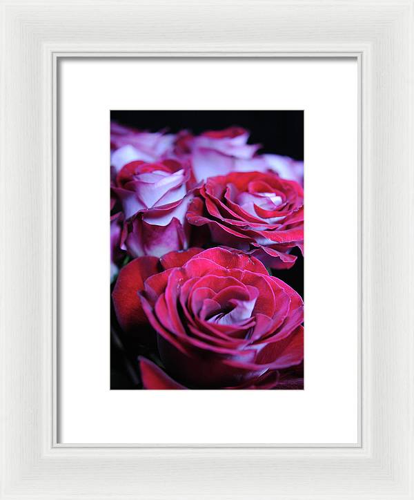 Latin Dancer Rose Group - Framed Print