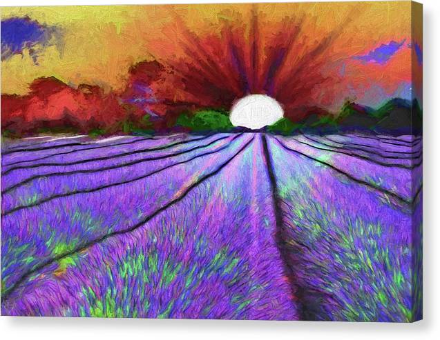 Lavender Field Sunrise - Canvas Print