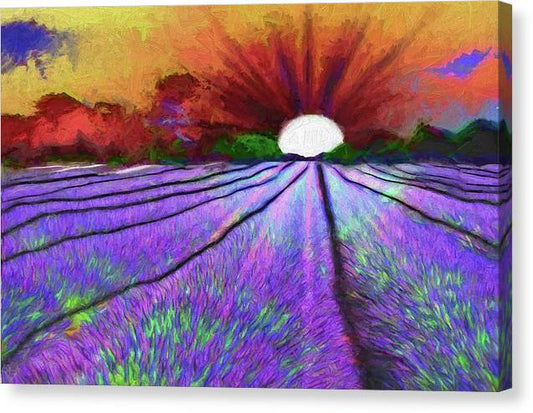 Lavender Field Sunrise - Canvas Print