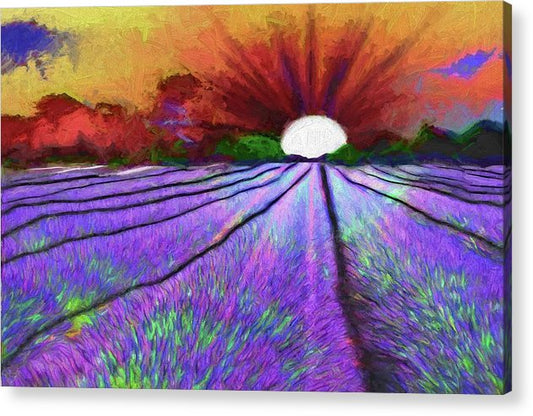 Lavender Field Sunrise - Acrylic Print