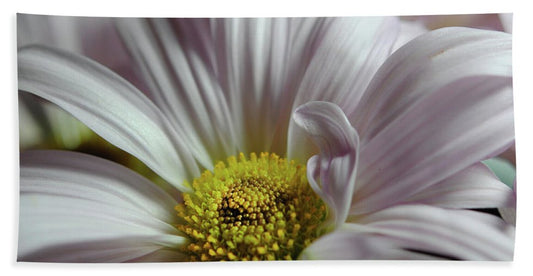Light Lavender Daisies - Bath Towel