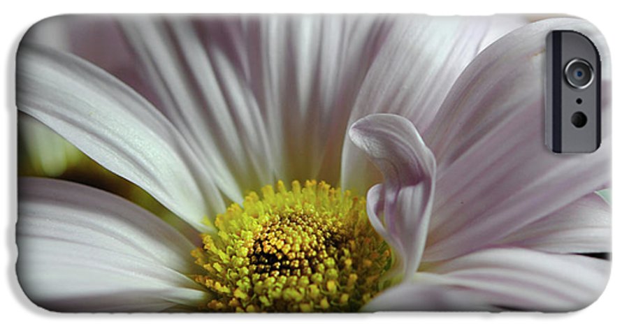 Light Lavender Daisies - Phone Case