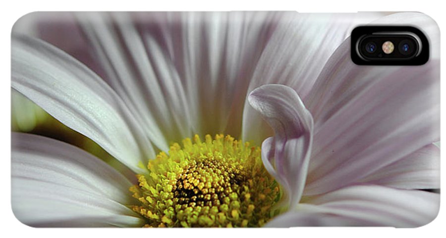 Light Lavender Daisies - Phone Case