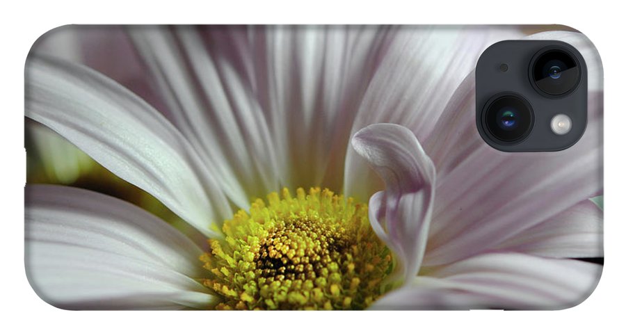 Light Lavender Daisies - Phone Case