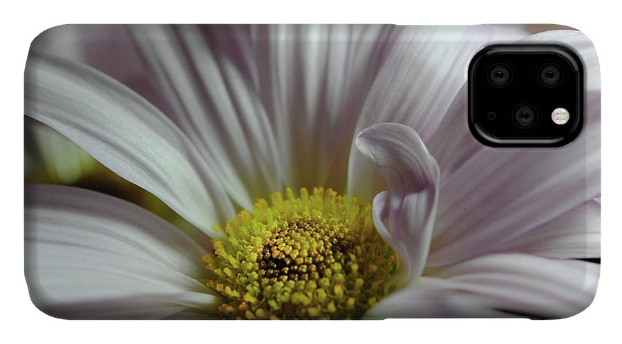 Light Lavender Daisies - Phone Case